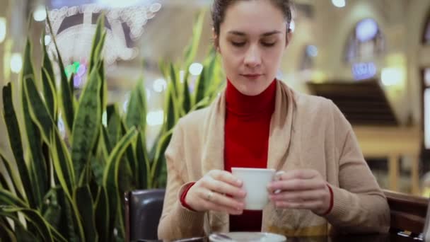 Chica bebiendo café con crema batida y malvaviscos en la cafetería — Vídeos de Stock