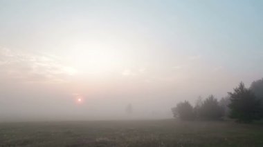Yaz sabahı sisli bir çayır ve ağaçlar üzerinde gün doğumu timelapse.