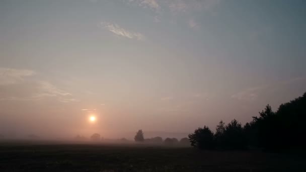 Landsbygds scenen vid soluppgången med dimma sakta komma bort från ängen. Solen lyser ljusare när den stiger. Timelapse — Stockvideo