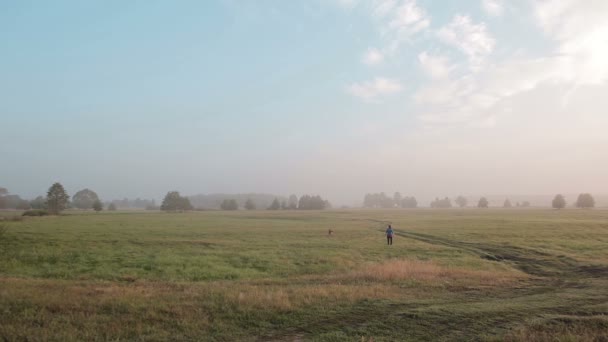 Una vista posteriore di una contadina sta portando a spasso il suo cane in un prato estivo. Rosso allegro divertente cane è felicemente saltando sul campo . — Video Stock