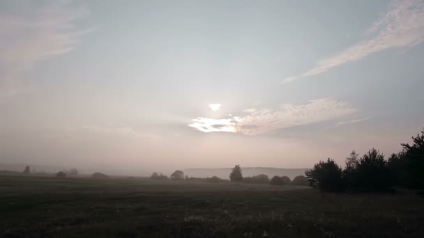 Wiejski krajobraz z łąką, drzewami, krzewami i mgłą na całej ziemi. Miękkie światło słoneczne, chmury powoli poruszają się na niebie. — Wideo stockowe