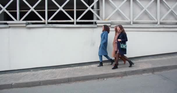 Side view drie gelukkige mooie jonge zakenvrouwen uit te gaan op een ontmoeting samen, wandelen langs de muur van het stadsgebouw. — Stockvideo