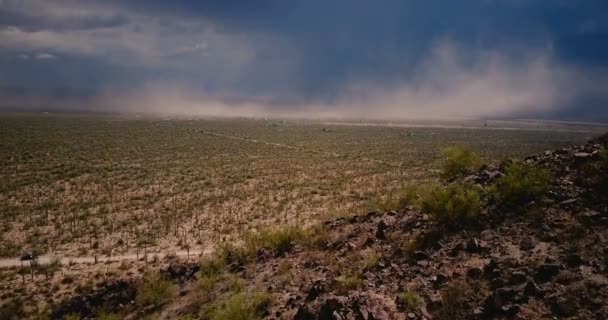 Drone latający nad malowniczym polem pustynnym kaktusa, epicki mur burzy piaskowej zbliża się w lecie Arizona National Park USA. — Wideo stockowe