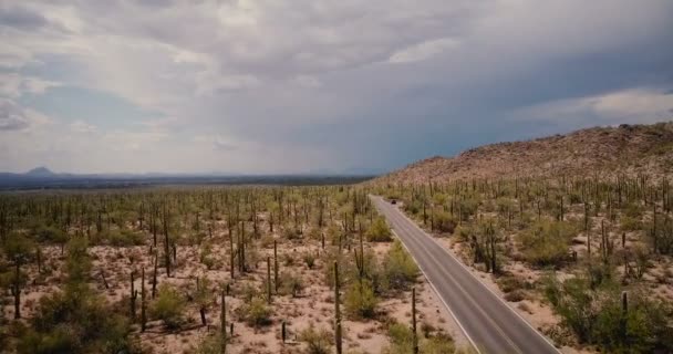 Drönare flyger lågt över öken väg, stationär bil i mitten av fantastiska kaktus fält i Arizona nationalpark USA. — Stockvideo