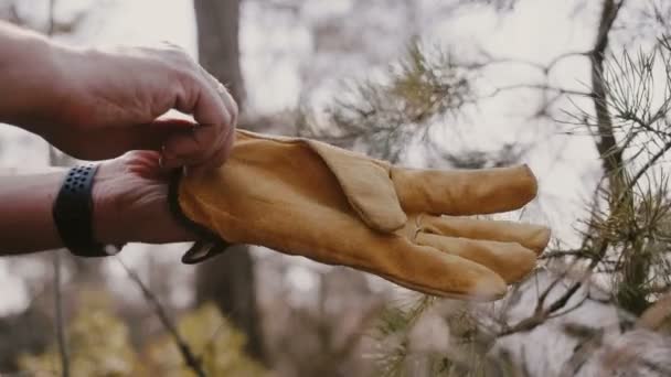 Супер крупным планом мужчина руки надевает желтые замшевые перчатки защиты перед резкой древесины в лесу замедленной съемки. — стоковое видео