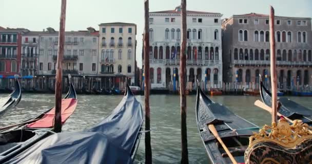 Венеция, Италия. Красивые традиционные гондолы, припаркованные на пирсе на рассвете без людей, старинные здания на заднем плане. — стоковое видео