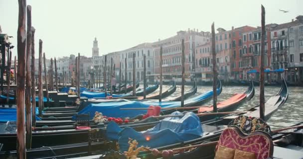 Venedig, Italien. Schöne traditionelle Gondeln schaukeln leer auf den Wellen am frühen Morgen Lagune Pier ohne Menschen. — Stockvideo