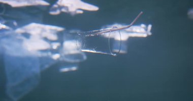 Çöpe atılmış, suyun altında saman yüzen tek kullanımlık bardakta sinematik yakın çekim, deniz yüzeyinde çöp, ağır çekim.