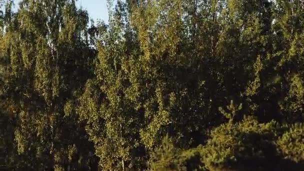 緑の木々の上に上昇するドローンは、ミンスクベラルーシの穏やかな秋の湖と近代的な未来的な都市スカイラインの風景を明らかにする. — ストック動画