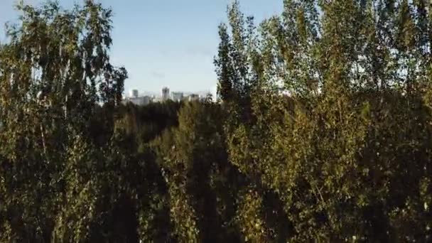 Dron pohybující se po zelených stromech odhalit nádherné ještě podzimní jezero a moderní futuristické budovy města panorama. — Stock video