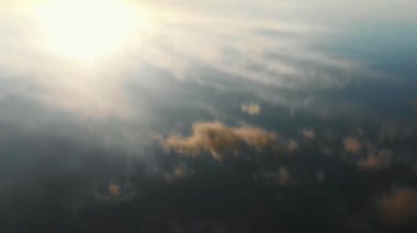 Dalgalanan göl suyunun üzerinde uçan dron gökyüzünü yansıtıyor, şaşırtıcı yeşil yaz gündoğumu ormanı ve tarlasına eğiliyor..