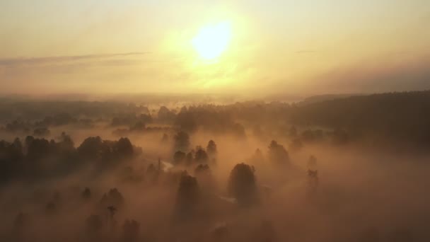 大気の空気の風景、森と川の壮大な暖かい日の出に厚い霧で覆われた神秘的な霧の谷. — ストック動画