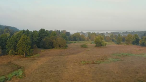 Długi przelot z powietrza, dron poruszający się nad mglistym zielonym letnim polem wschodu słońca i drzewa w kierunku gęstej mgły w pochmurny dzień. — Wideo stockowe