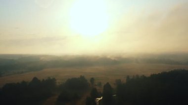 Doğanın destansı manzarası, güzel orman vadisinde doğan güneş altın gündoğumu sisiyle kaplı küçük bir nehirde yansıyor.