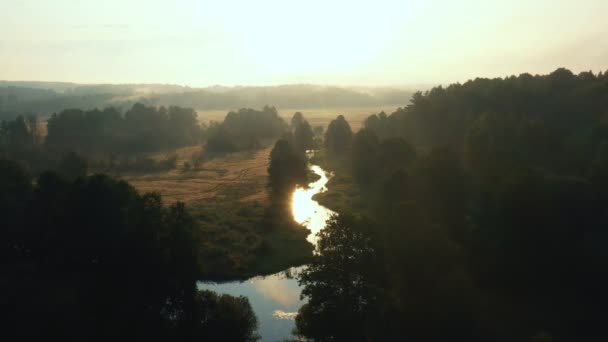 Drone vliegen over prachtige bosvallei bedekt met gouden zonsopgang mist, zonlicht weerkaatst in kleine kronkelende rivier. — Stockvideo