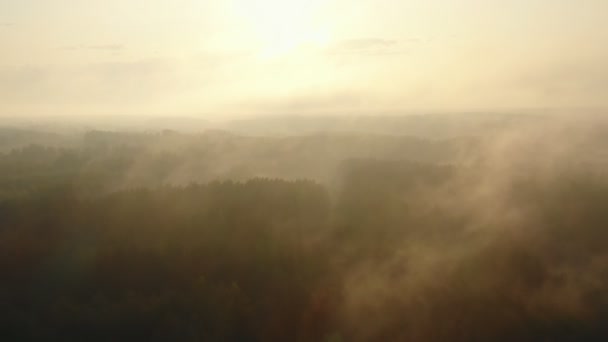 Modelli astratti della natura, drone che vola all'indietro sugli alberi della foresta e valle ricoperta di fitta nebbia bianca all'alba. — Video Stock