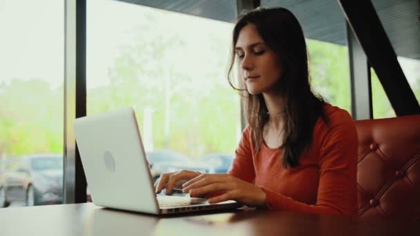 Woman working on laptop, muses, smiling in cafe — Stock Video