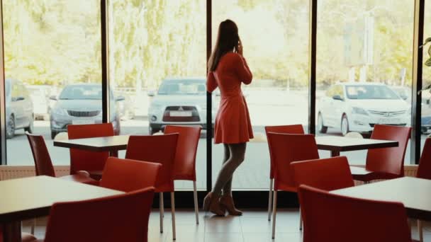 Women talks on the phone near the window in cafe. in full growth — Stock Video
