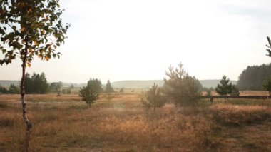 Güzel manzara arka ışığı hareketli sis ile