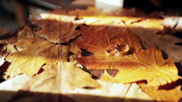 Обручальные кольца с осенними листьями — стоковое видео