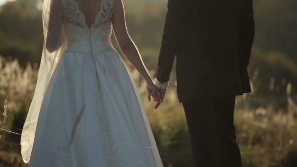 Молодая невеста и жених на закате держатся за руки — стоковое видео