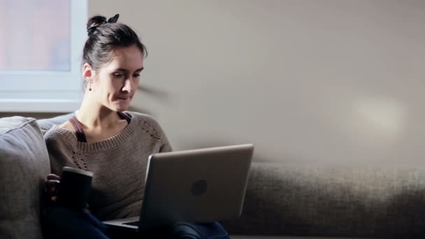 Kobieta siedzi w sofę i pracy na laptopie — Wideo stockowe