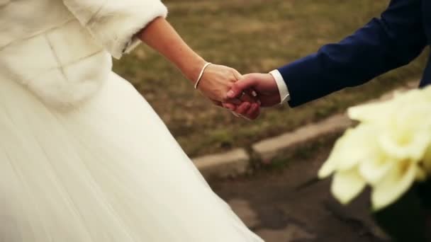 Νέοι νύφη και ο γαμπρός περπάτημα χέρια εκμετάλλευσης — Αρχείο Βίντεο