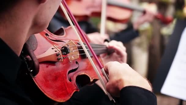 Musikalisk ensemble. musiker som spelar fiol — Stockvideo