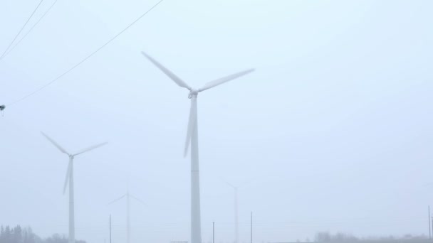 Ветряные мельницы возле дороги туманным утром . — стоковое видео