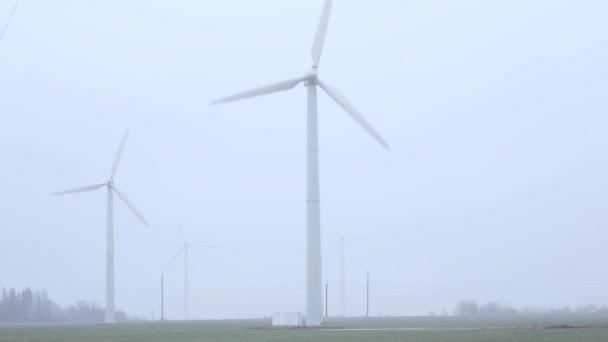 Windmills near the road foggy morning. — Stock Video