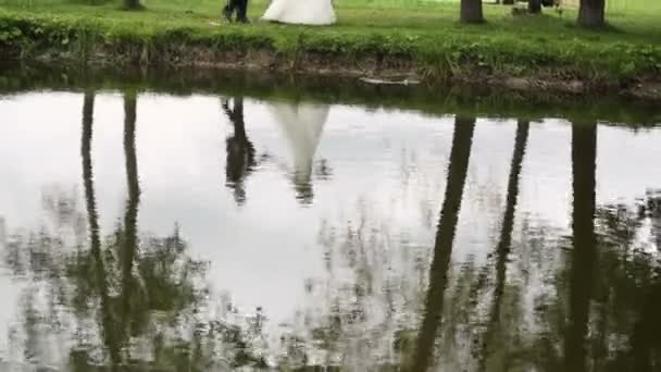Отражение жениха и невесты в воде — стоковое видео