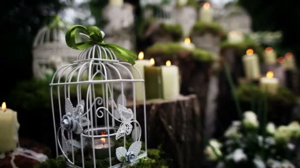 Красивый свадебный декор со свечами, березовыми полями — стоковое видео