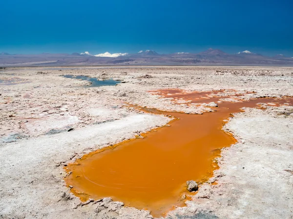 Salar de Atacama Laguna Chaxa — Zdjęcie stockowe