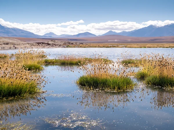 Road trip in the Andes — Stock Photo, Image