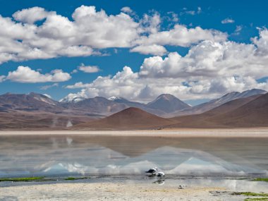 Yolculuğa Andes