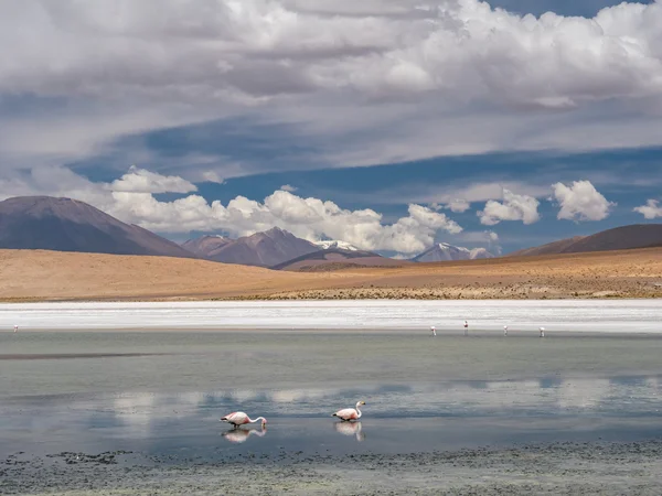 Viaje por carretera en los Andes — Foto de Stock