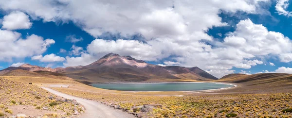 Laguna miniques, Şili
