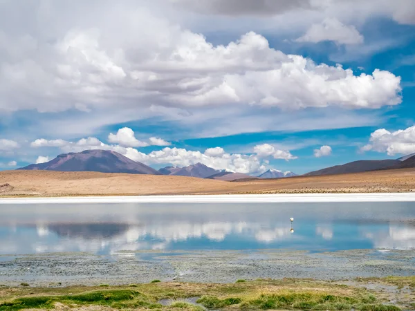 Viaje por carretera en los Andes — Foto de Stock