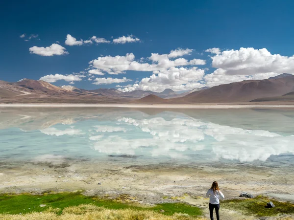 在安第斯山脉的公路旅行 — 图库照片