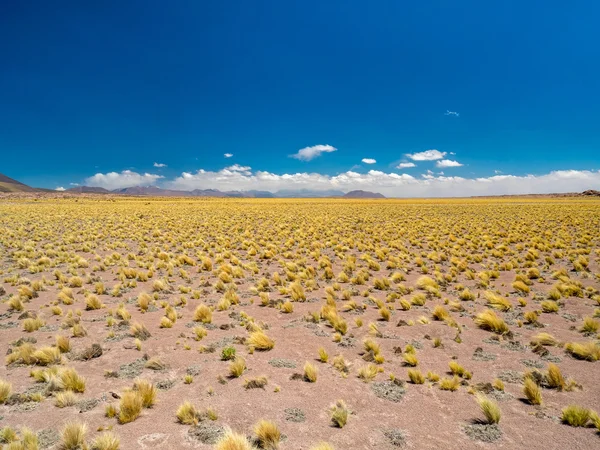 沙漠中的 San Pedro de Atacam 附近 — 图库照片