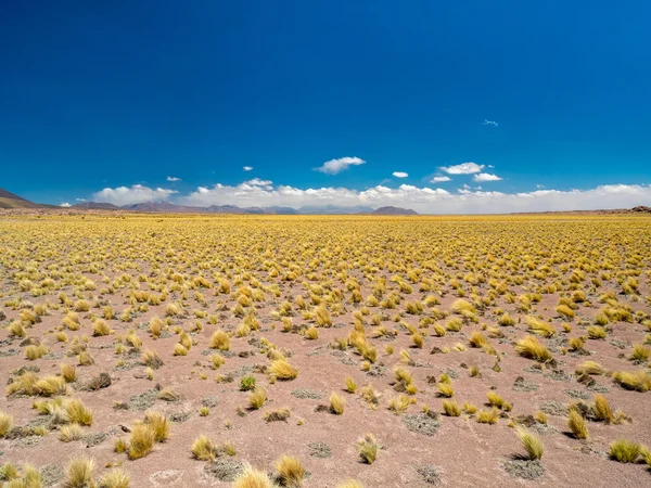 İçinde çöl yakınındaki San Pedro de Atacam