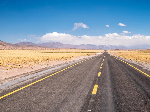 Camino a la Laguna de Miniques — Foto de Stock