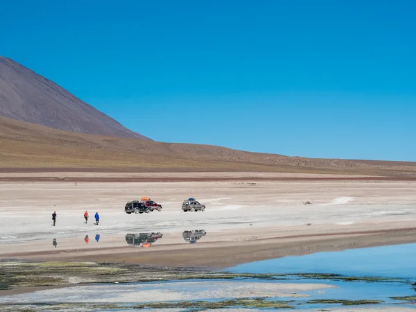 在安第斯山脉的公路旅行 — 图库照片