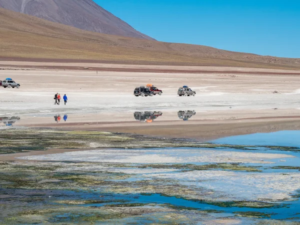 Road trip dans les Andes — Photo