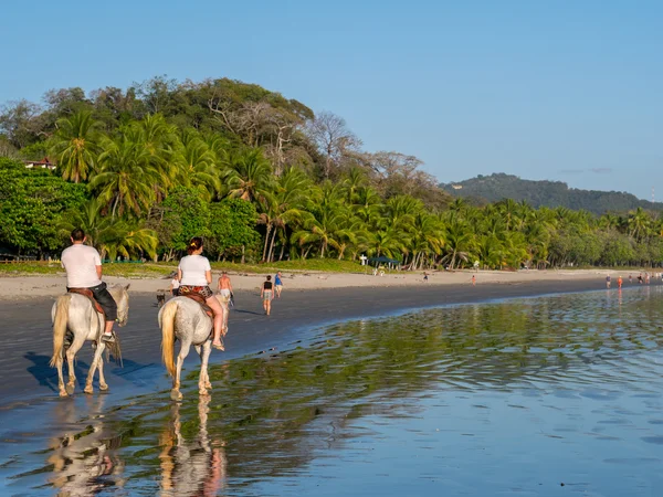 在哥斯达黎加的骑马 — 图库照片