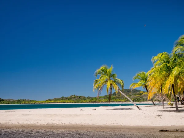 Carrillo Beach yakınındaki Samara — Stok fotoğraf