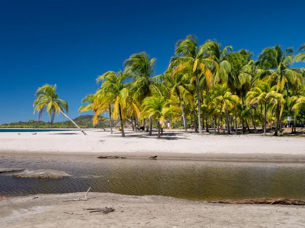 Carrillo Beach yakınındaki Samara