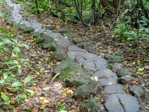 Trilha da selva para o Vulkan Mombacho — Fotografia de Stock