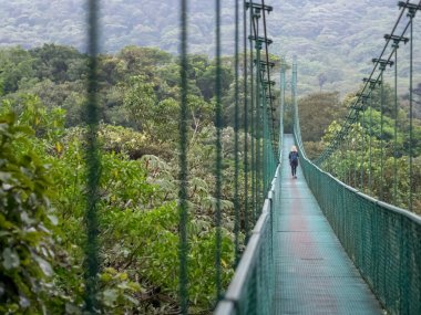 Suspension Bridge in Costa Rica clipart
