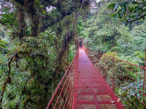 Trekkin tour em Monteverde — Fotografia de Stock